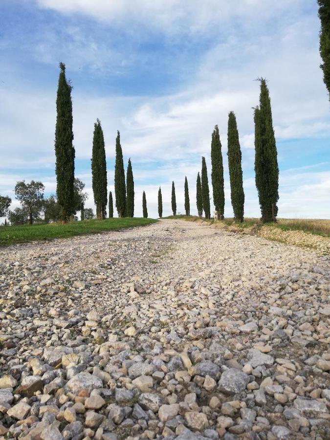 Podere Sant'Antonio Buonconvento Dış mekan fotoğraf