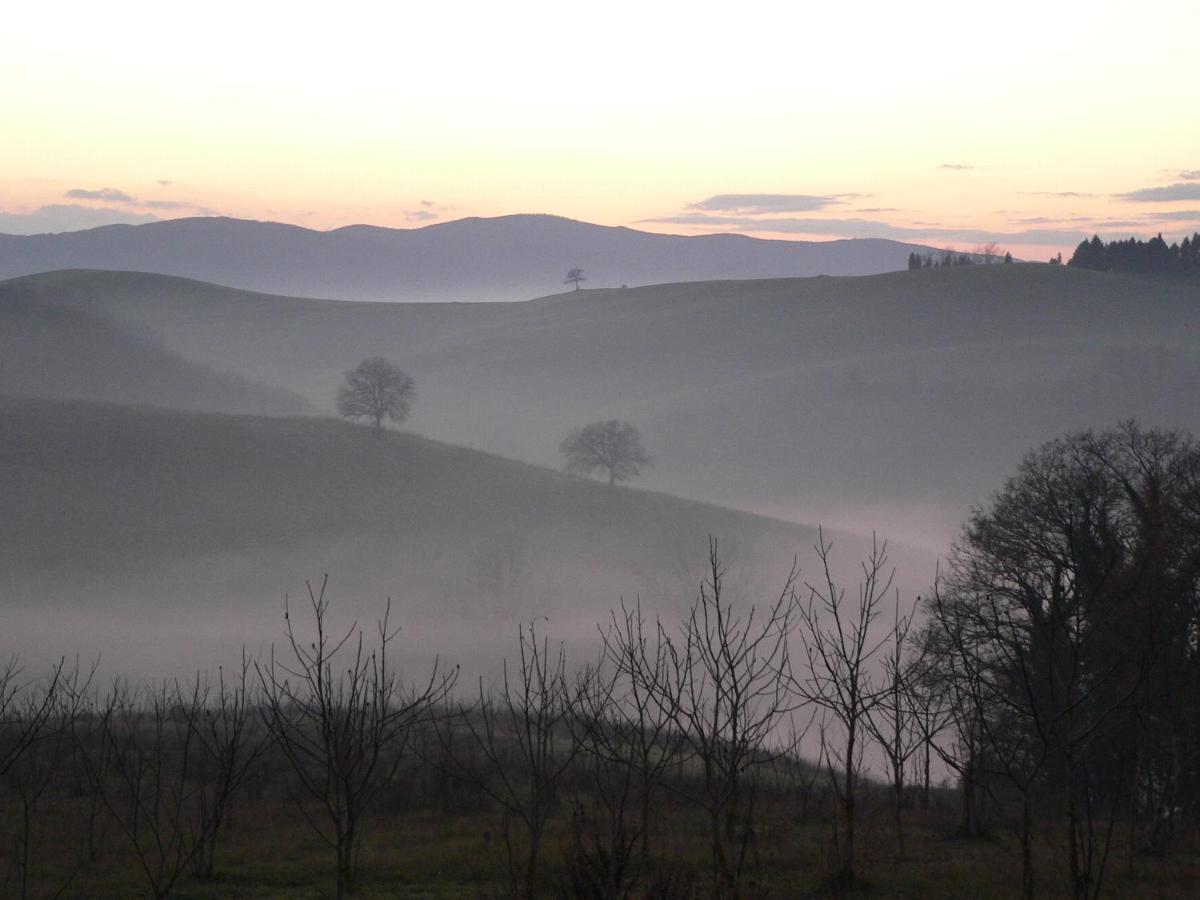 Podere Sant'Antonio Buonconvento Dış mekan fotoğraf