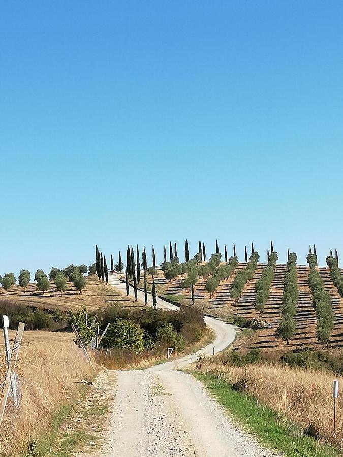 Podere Sant'Antonio Buonconvento Dış mekan fotoğraf