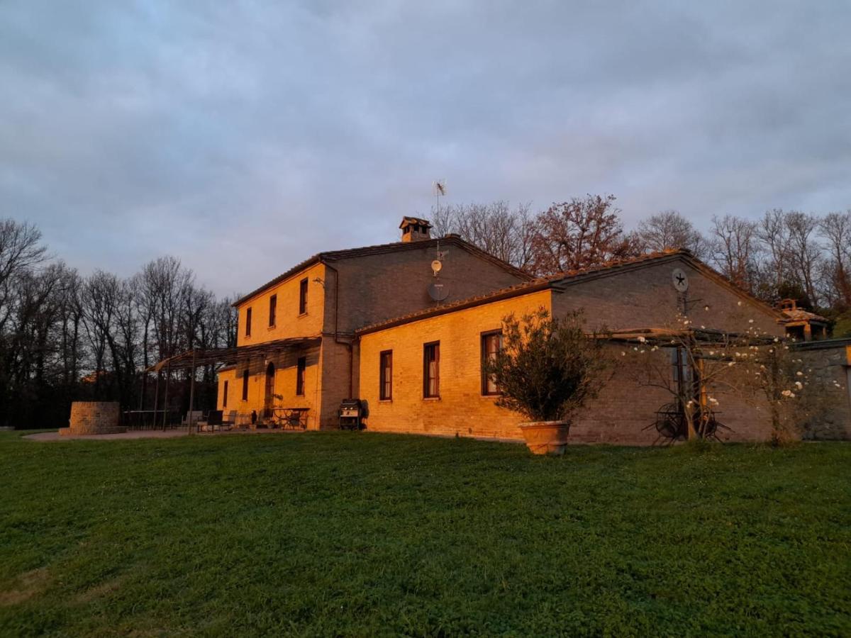 Podere Sant'Antonio Buonconvento Dış mekan fotoğraf