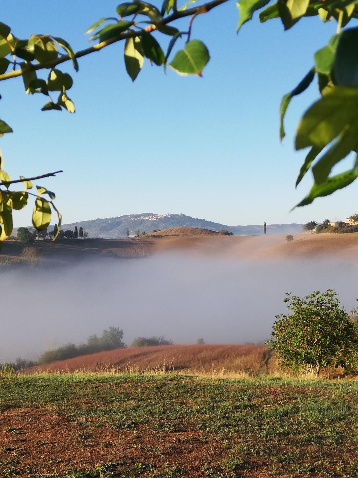 Podere Sant'Antonio Buonconvento Dış mekan fotoğraf